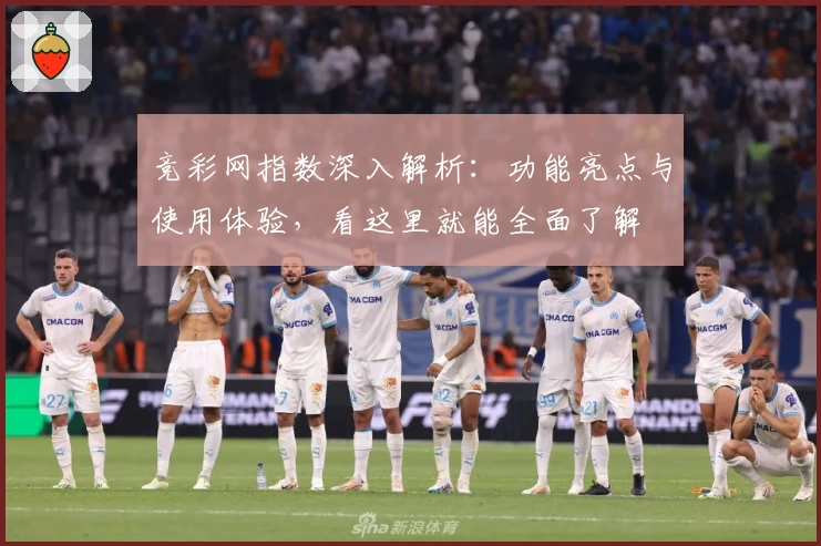 竞彩网指数深入解析：功能亮点与使用体验，看这里就能全面了解