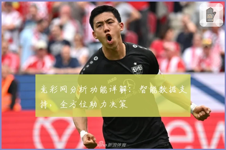 竞彩网分析功能详解：智能数据支持，全方位助力决策