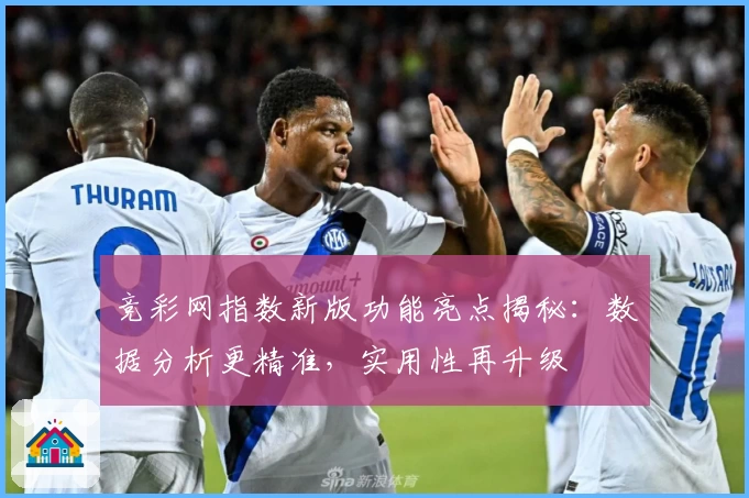竞彩网指数新版功能亮点揭秘：数据分析更精准，实用性再升级